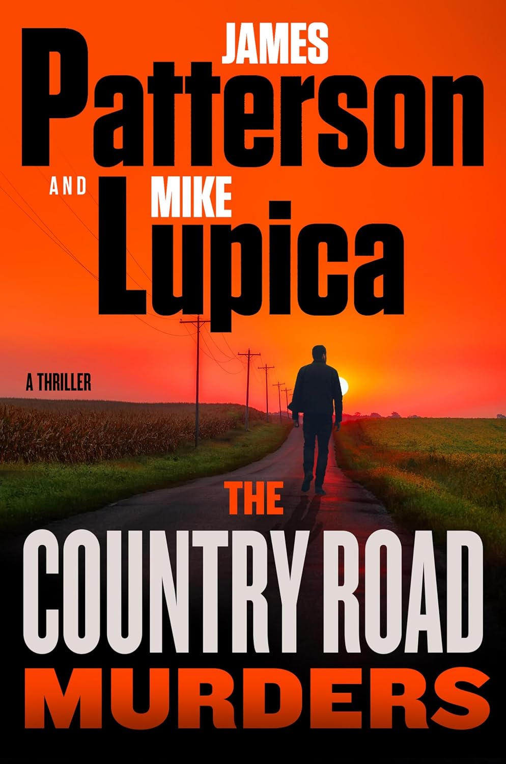 Book cover — a lone figure walking a country road at sunset